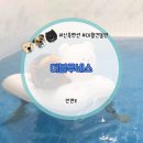 더블루네스 | 서해안 안면도 대형견 신축 펜션 더블루네스 숙소 후기