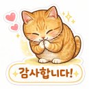 포인트부분정비공장 | 파주 엔진형 고압세척기 출장 수리, GX690 + 아노비 SXWA 5.5G50 오일 교체 및 점검 후기