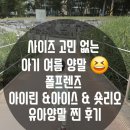 철마어린이집 | 폴프렌즈 유아 여름 양말 추천: 1~7세 원사이즈 쑥쑥 크는 발 사이즈 해결책?