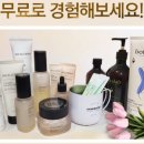 스텔라 인셀덤 네이버블로그