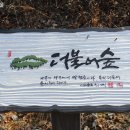 더불어숲
