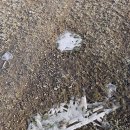 아이올림픽 수영장 | [뮌헨]올림픽 수영장 방문 후기