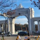 타마시헤어경희대 이미지