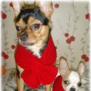 산이랑 바다 이미지