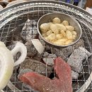 진주 한우 맛집 이현동에서 소고기 먹을 땐 여기에요,, !!참지대루 찐만족 후기