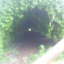 김정기 농장 이미지