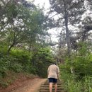 BHC명륜점 | 로빈후드 이야기 : 서산 여행편, 여름 서산 여행 5, 6일차 기록 (황금산, 코끼리바위, 삼길포항)