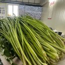 도은농장 이미지