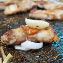 배양리두루치기 이미지