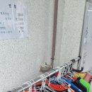 춘천여우그늘 이미지