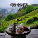 힐링 다도여행 이미지