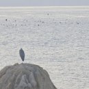 죽성 드림세트장 이미지