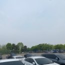 서울대공원 동물원 오픈런 후기 :) 주차 코끼리열차 동선 꿀팁 총정리