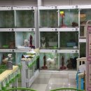 펫엘도라도 이미지