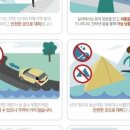웅추 이미지