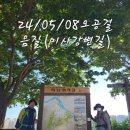 24.05.08일(수) 오공걸음질 제12회-미사위례길 맨발걷기 이미지