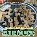 코끼리생막창 이미지