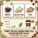웅진음료 | 메가박스 스위트룸 갔더니 주는 웰컴드링크 #웅진호지차 호지차 음료 리얼 솔직 후기