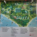 제이원환경(주) | 필리핀 말라파스쿠아 스쿠버다이빙 투어 :: 드래곤제이원 다이브리조트