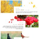 섬강자전거길(섬강살리기) | 강원도 원주 이름의 유래와 역사, 문화유산