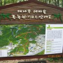 죽향3 이미지