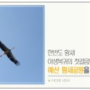 황새공원 다목적광장 이미지