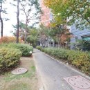 신흥101동 이미지