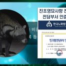이앤지코리아