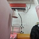 도선한의원 | 임산부 골반/손목/어깨 통증 한의원 치료 후기! 임산부 할인 꼭 받기🤰