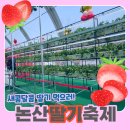 공공미술 프로젝트( | 논산 딸기, 세계를 유혹하다! 논산 딸기 축제