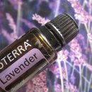 분도메디컬 이미지