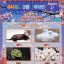 키즈숲어린이집
