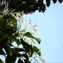 방동농장 이미지