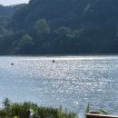 잭슨 바비큐 | 충주 잭슨글램핑 후기｜ 충주여행 애견동반숙소 추천