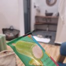 거봉약국 | 잔지바르 암포라 병원, 다르에스살람 런던 헬스 센터 병원 후기/ 코이카 해외봉사단ep61. 아프지 마세요.