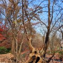 마음동천 이미지