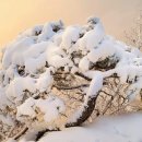 설화