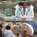 승재 농장 이미지