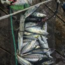 순찬낚시터 이미지