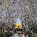 오늘의 경주 이미지