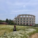 하늘꽃한의원 | [임신준비] 대추밭백한의원 온라인 예약 성공 후기