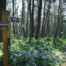 나무골마을 이미지