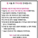 럽아이속눈썹