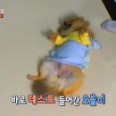 오쏠