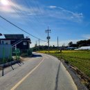 에스테르 독스 케어 하우스 이미지