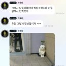 2024. 5. 28 - 잡담들