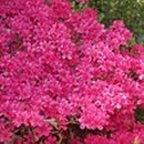 같은마음 이미지