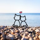 위즈펫동물병원 이미지