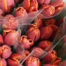 화림농장 이미지