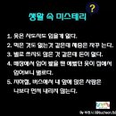 새로미 이미지